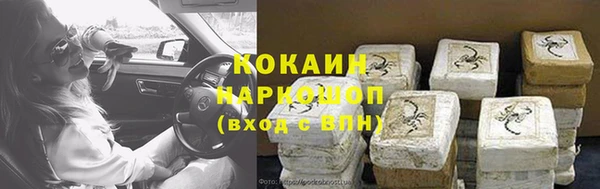 бошки Алексин