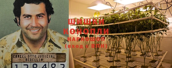 бошки Алексин