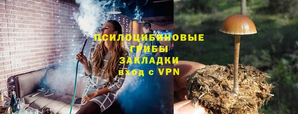 бошки Алексин