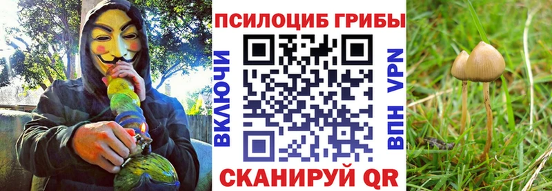 Псилоцибиновые грибы MAGIC MUSHROOMS  blacksprut маркетплейс  Сосновка  магазин   